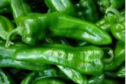Paprika 