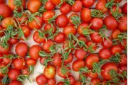 Rajčata cherry